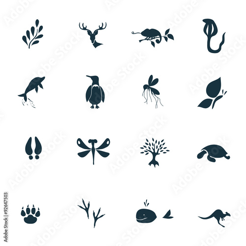 Set of  sixteen nature icons © LynxVector
