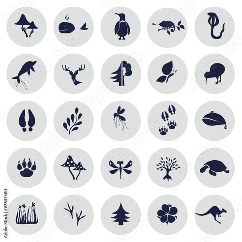 Set of twenty five nature icons