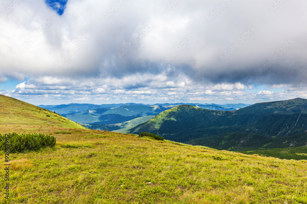 Fototapeta premium summer landscape