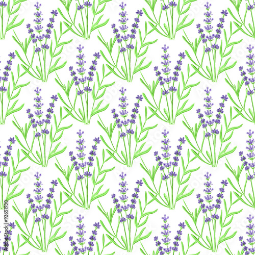 Lavender. Seamless pattern with flowers. Hand-drawn original