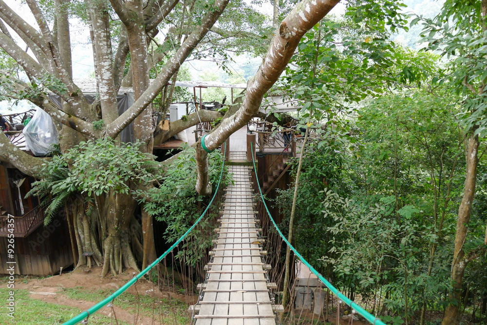Obraz premium cafe on big tree