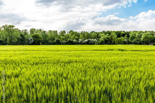 Landwirtschaft