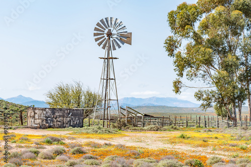 Windmill, dam and a kraal