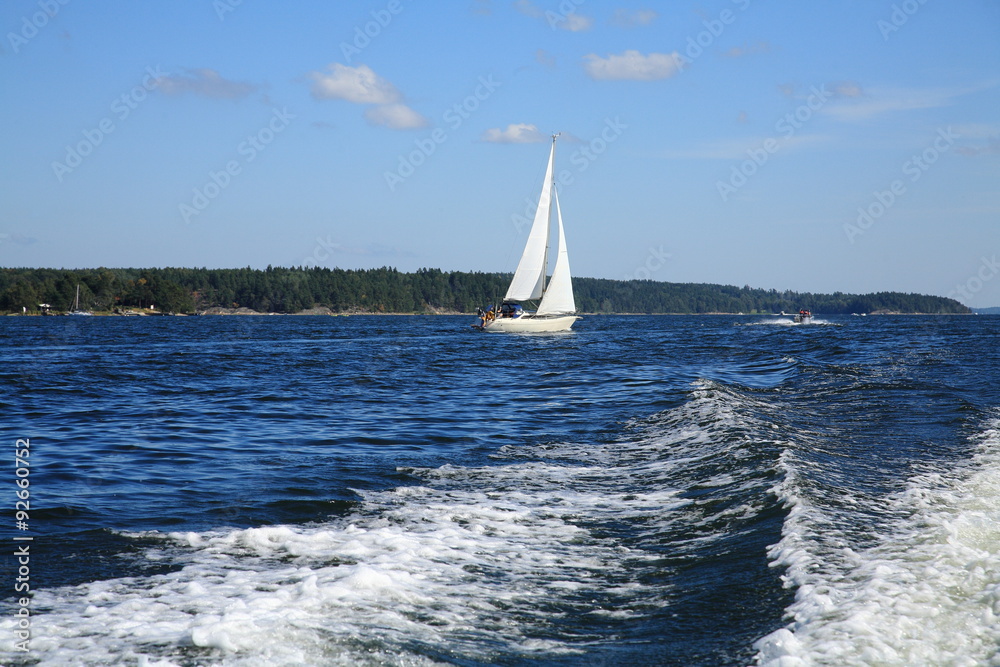 Obraz premium Cruise sailing