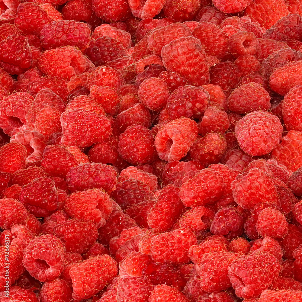 a ripe raspberry a ripe raspberry