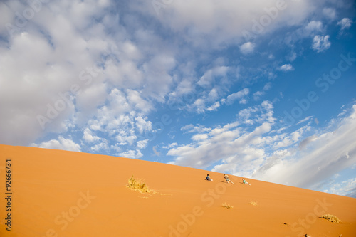 Deserto della Namibia, Africa