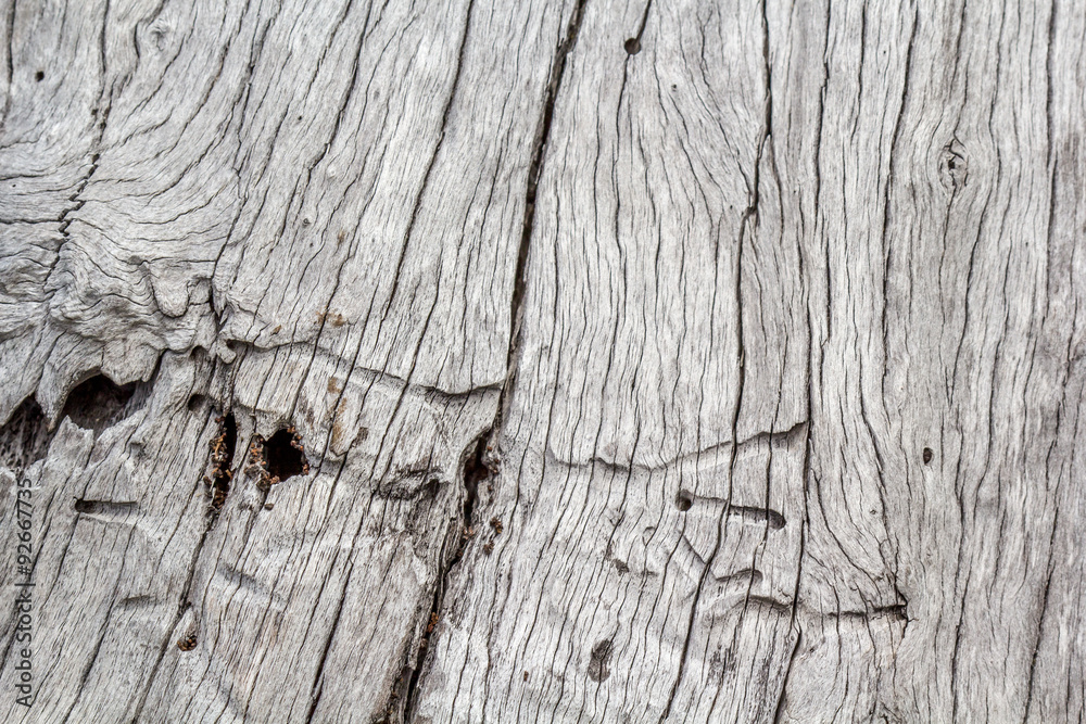 texture vieux bois texture vieux bois