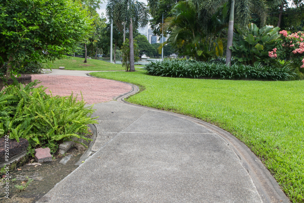Obraz premium Pathway in a green park