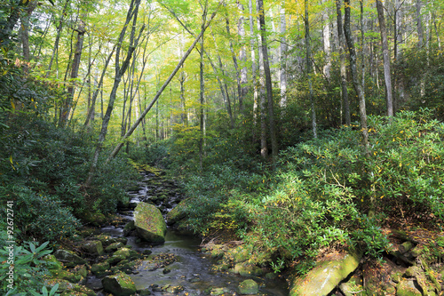 Little Santeetlah Creek in the Joyce Kilmer Memorial Forest in the fall photo