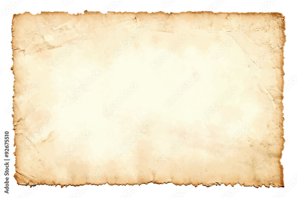 Grunge texture of old paper  isolated on white background. Vector illustration. Image trace.