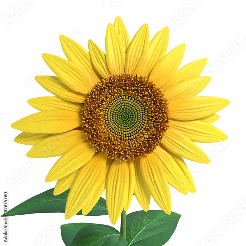 Fototapeta Naklejka Na Ścianę i Meble -  3d illustration of a sunflower close