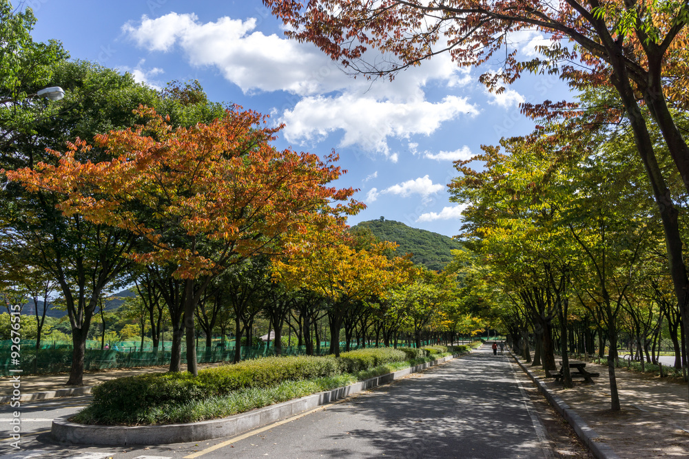 Incheon Grand Park early autumn