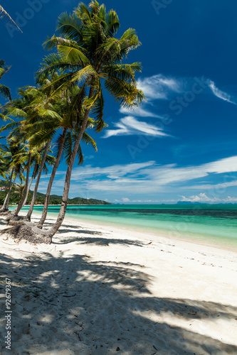 Fototapeta Naklejka Na Ścianę i Meble -  Coconut palms on a white sand beach