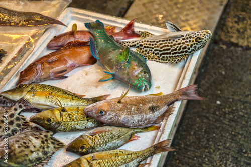 Close up of colourful fish at fish market in Hong-Kong