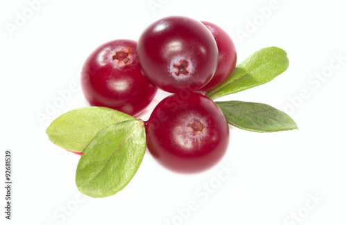 cranberry isolated