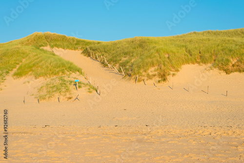 Dunes along the dutch coast in autumn