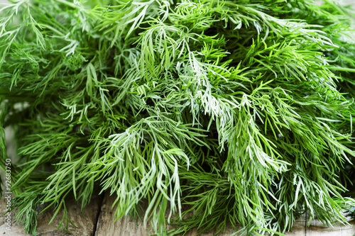 Fresh dill from the garden on the old wooden table in rustic sty