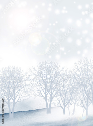 Winter Forest.