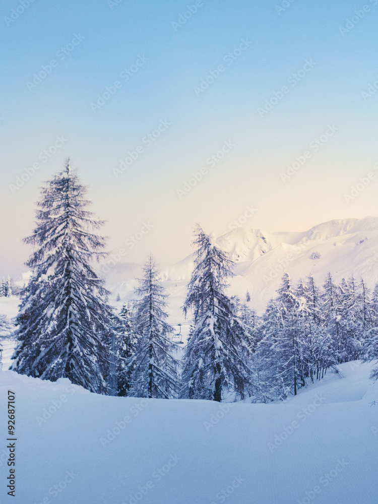 Winter forest in Julian Alps mountains