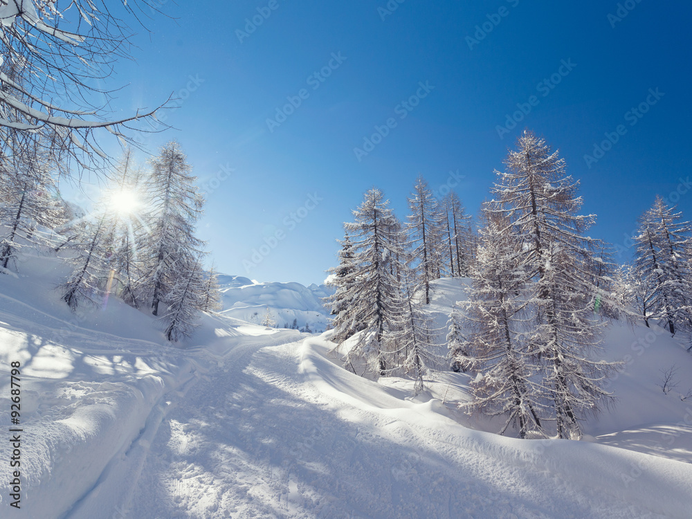 Winter landscape near Vogel ski center in mountains Julian Alps Winter landscape near Vogel ski center in mountains Julian Alps