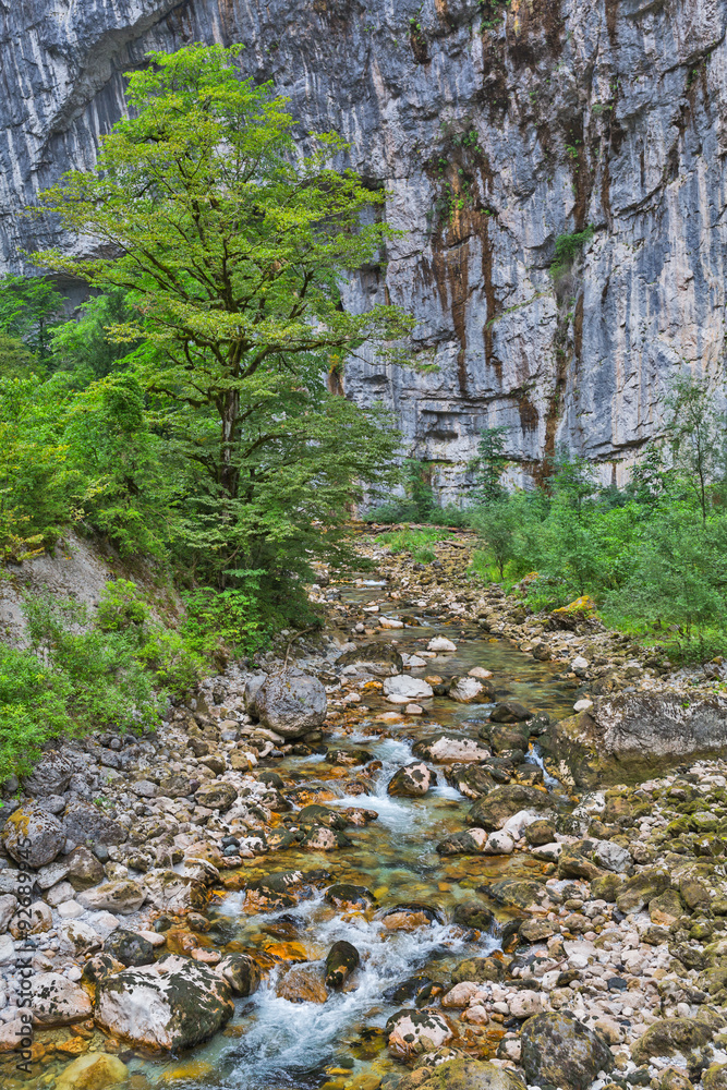 Mountain river flowing by the gorge