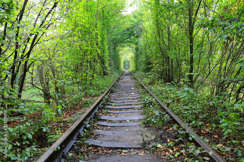 railway in forest