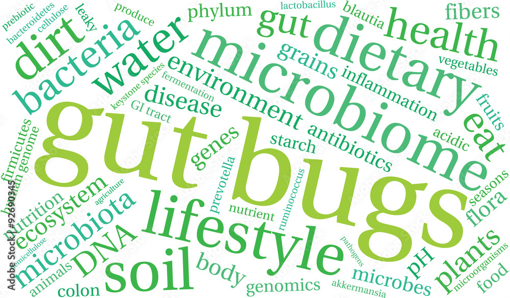 Gut Bugs Word Cloud On a White Background. Gut Bugs Word Cloud On a White Background.