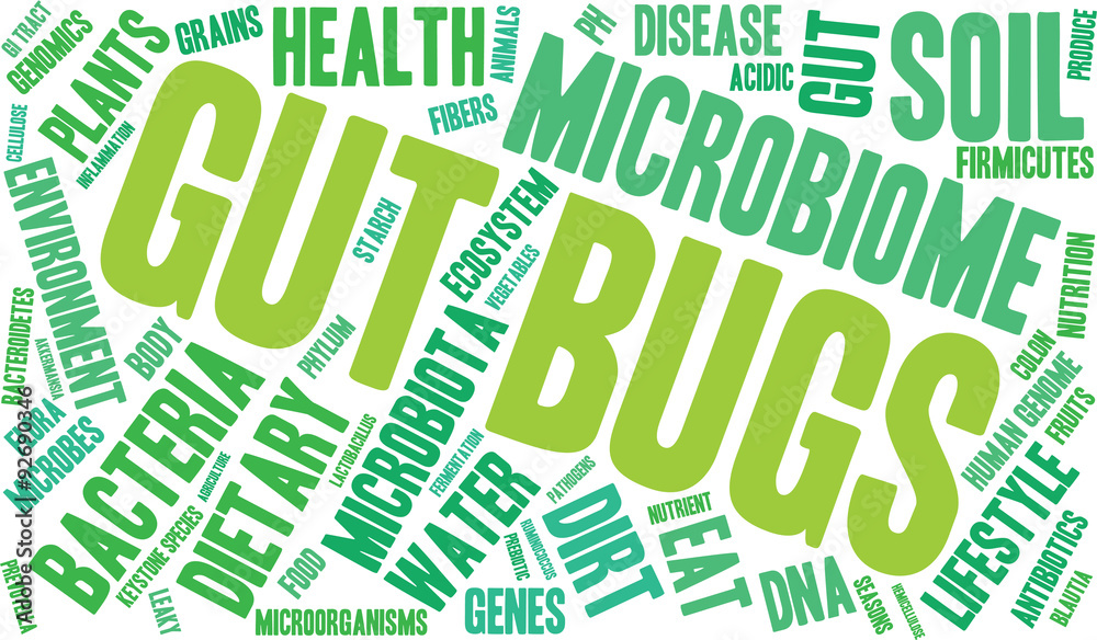 Gut Bugs Word Cloud On a White Background. Gut Bugs Word Cloud On a White Background.