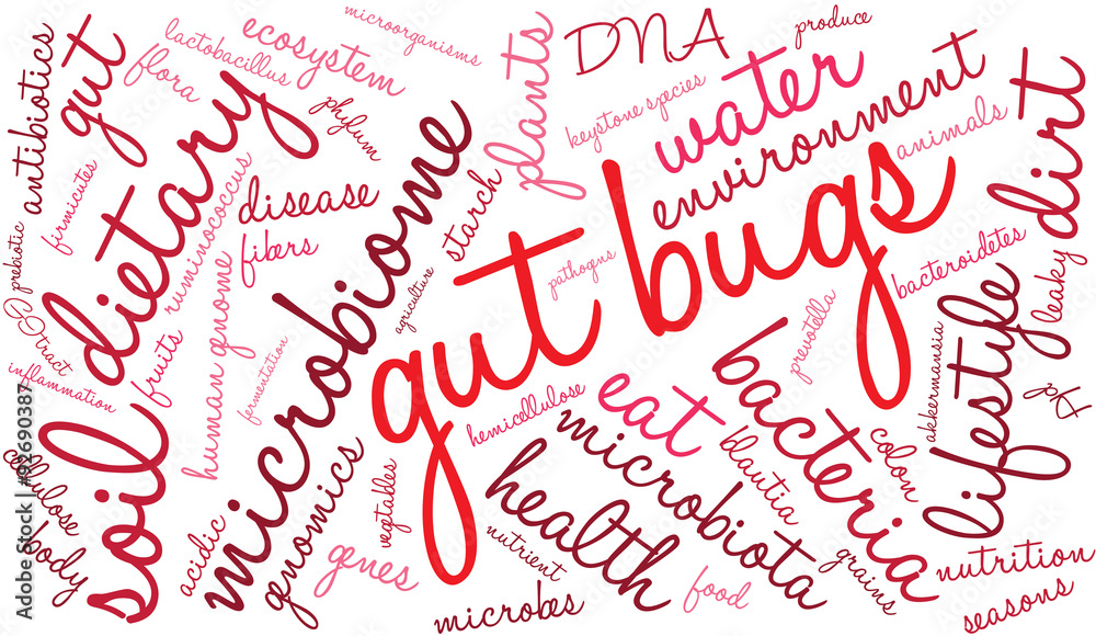 Gut Bugs Word Cloud On a White Background. Gut Bugs Word Cloud On a White Background.