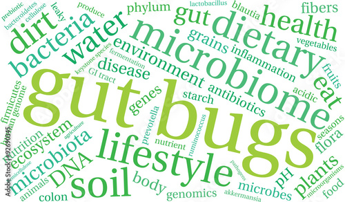 Gut Bugs Word Cloud On a White Background. 