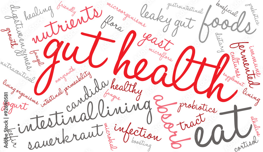Gut Health Word Cloud On a White Background. Gut Health Word Cloud On a White Background.