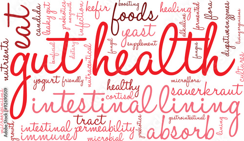 Gut Health Word Cloud On a White Background. 