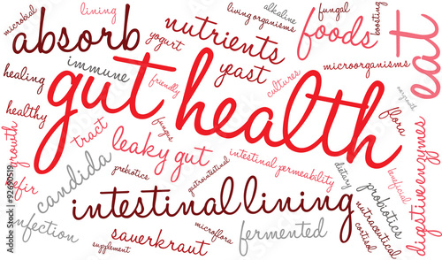 Gut Health Word Cloud On a White Background. 