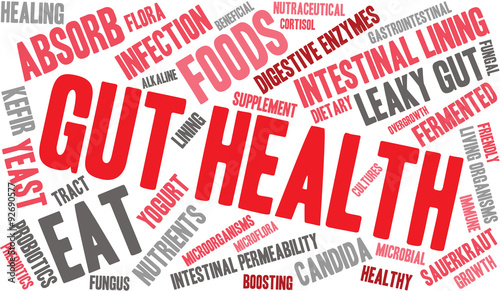 Gut Health Word Cloud On a White Background. 