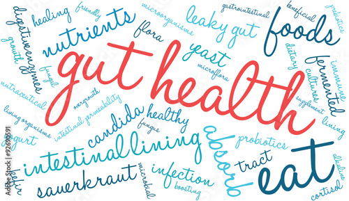 Gut Health Word Cloud On a White Background. 