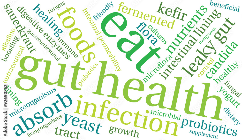 Gut Health Word Cloud On a White Background. Gut Health Word Cloud On a White Background.
