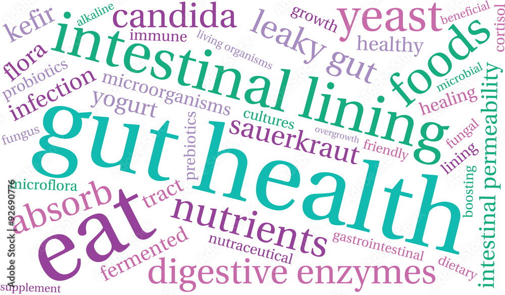 Gut Health Word Cloud On a White Background. Gut Health Word Cloud On a White Background.