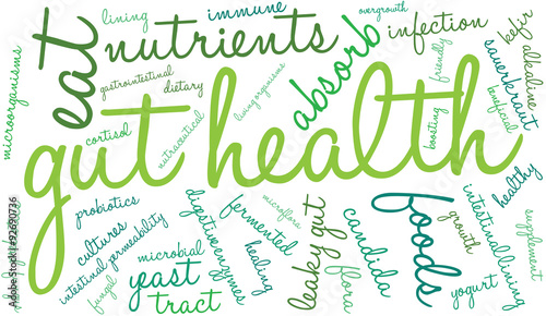 Gut Health Word Cloud On a White Background. 