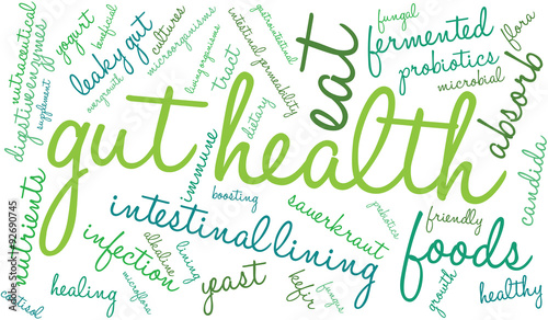 Gut Health Word Cloud On a White Background. 