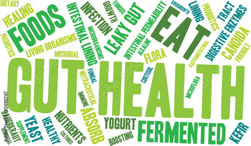 Gut Health Word Cloud On a White Background. 