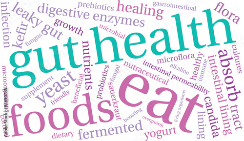 Gut Health Word Cloud On a White Background. 