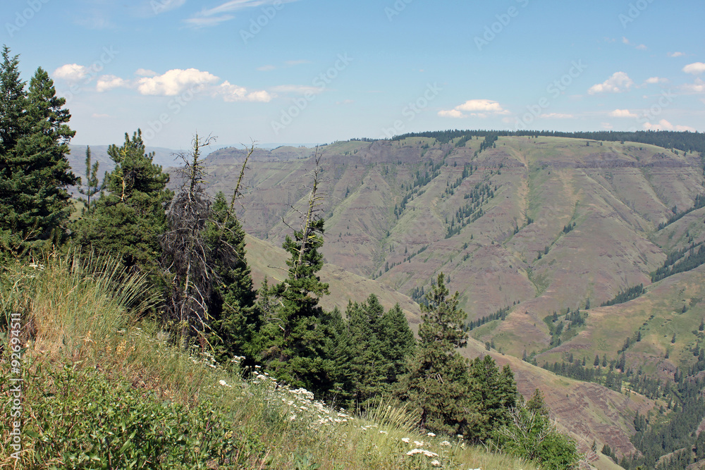 Fototapeta premium Canyon Overlook on a Sunny Summer Day