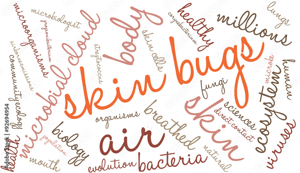 Skin Bugs Word Cloud On a White Background. Skin Bugs Word Cloud On a White Background.