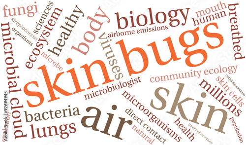 Skin Bugs Word Cloud On a White Background. 
