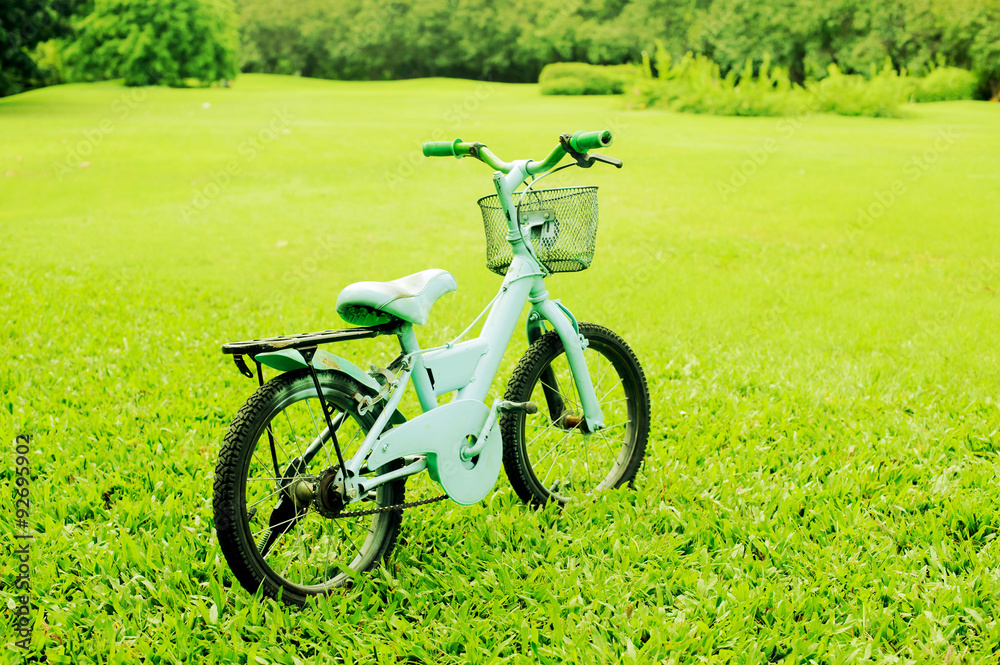 Obraz premium Vintage children bicycle in the green park