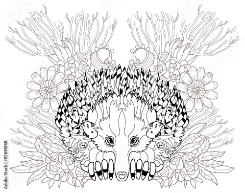Fotografia Hand drawn animal  Echidna.