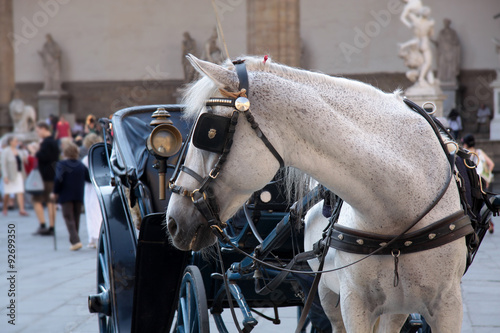 Pferdekutsche am Piazza della Signoria