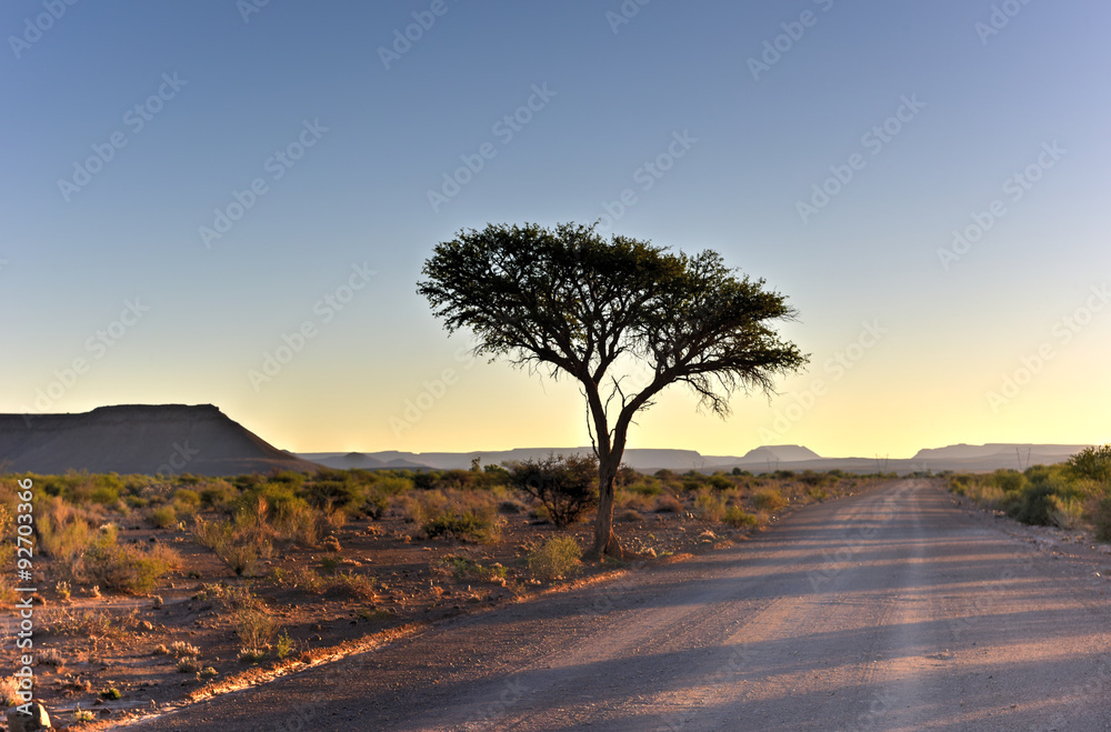 Obraz premium Fish River Canyon -Namibia, Africa