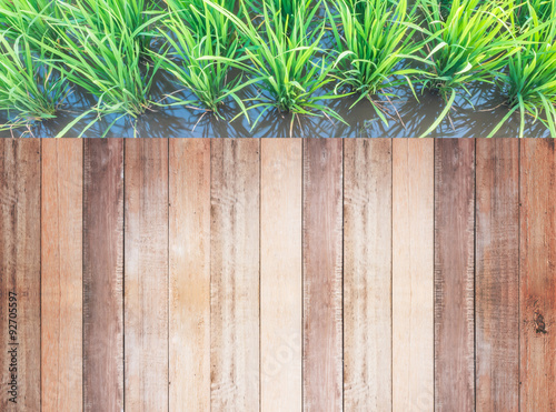 wood and rice field background