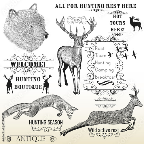 Vector set of engraved hand drawn animals deer, bear, fox and ca